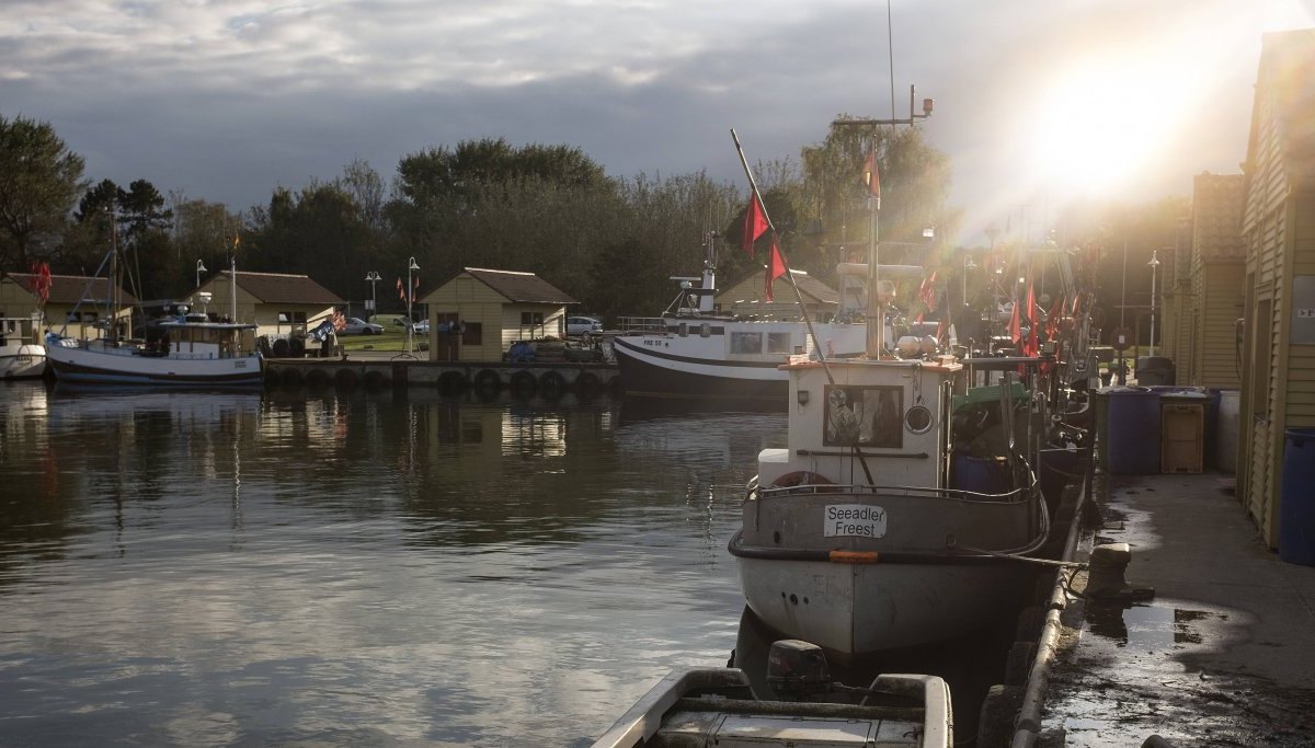 Ostsee Hafen Dorsch.jpg