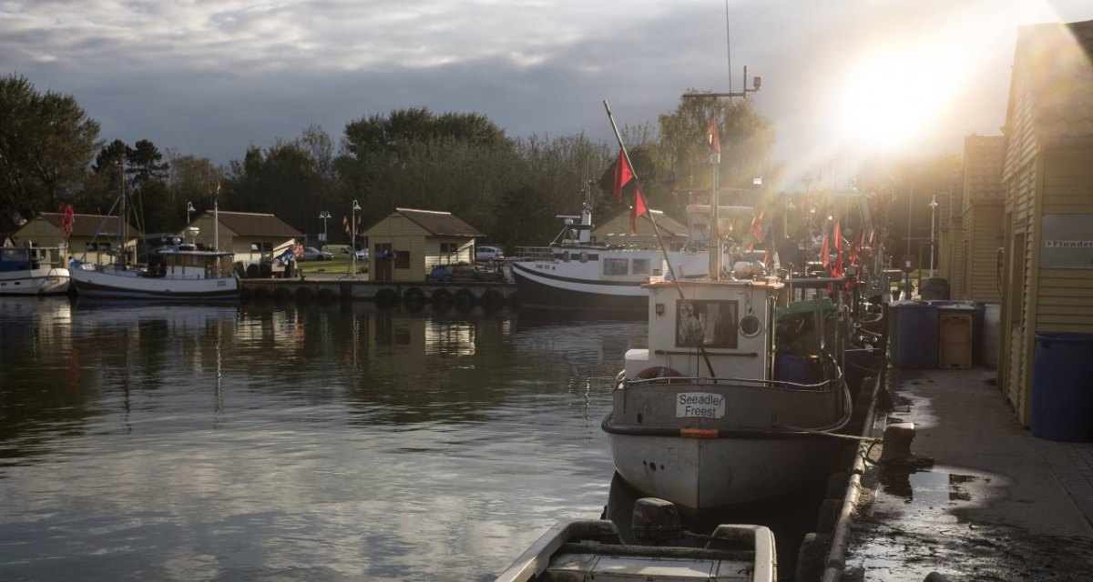 Ostsee Hafen Dorsch.jpg