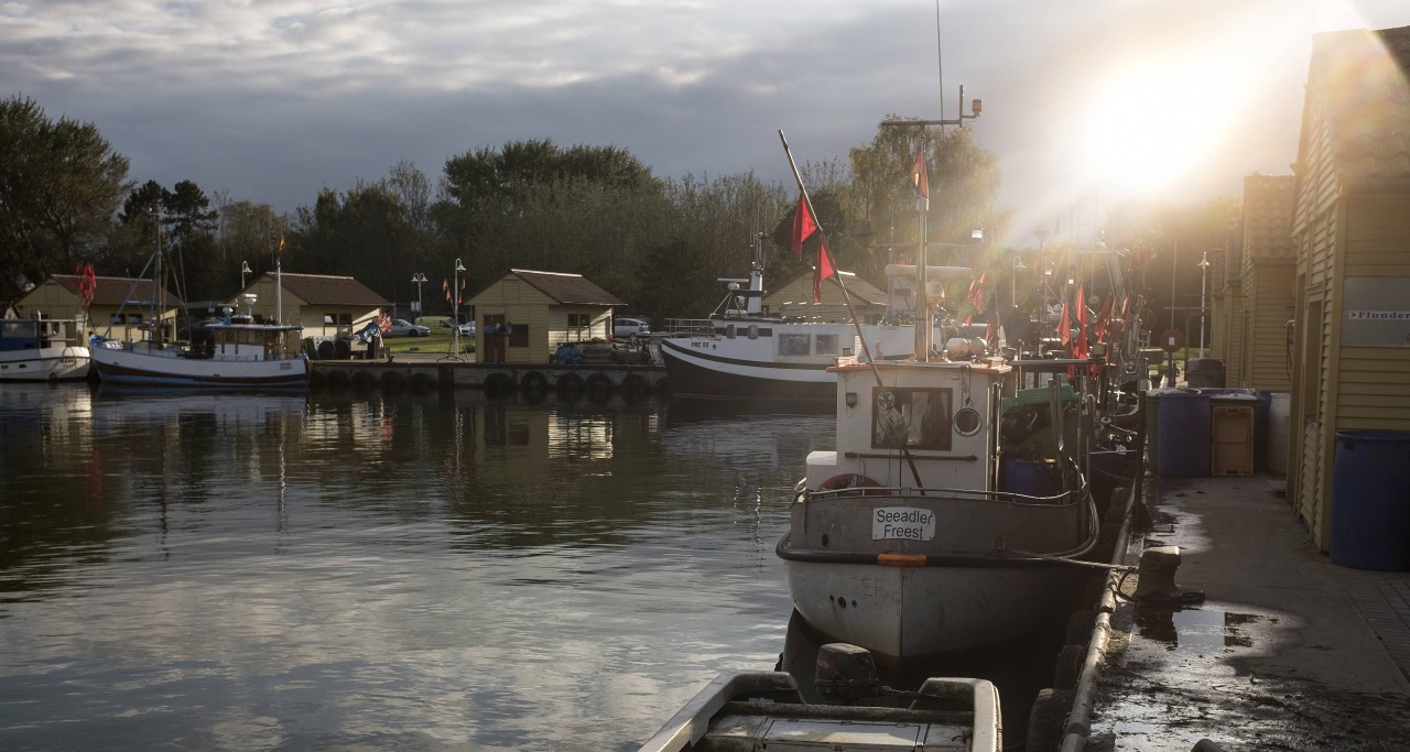 Ein Hafen an der Ostsee.