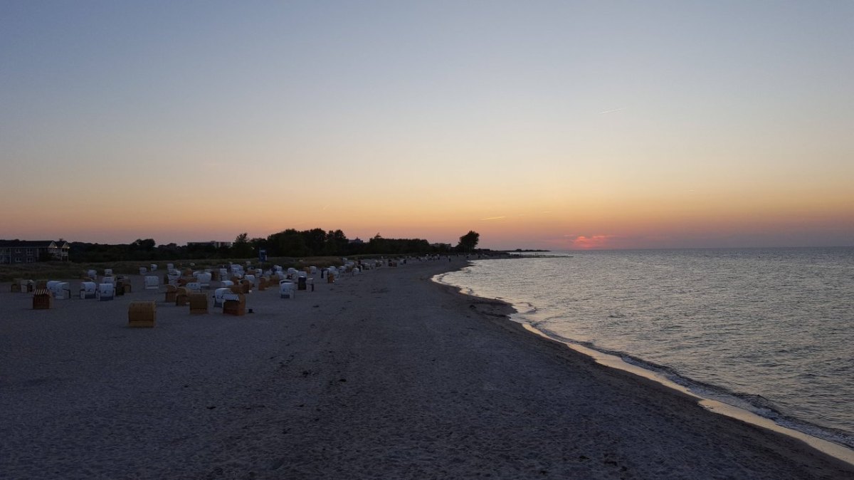 Ostsee Heiligenhafen Kühe Feuerwehr.jpg