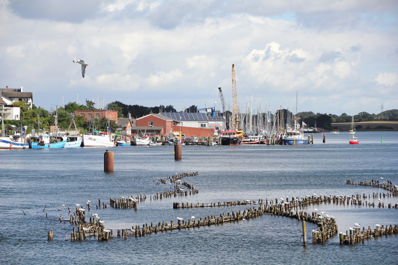 Der Heringszaun in Kappeln steht heute unter Denkmalschutz. 