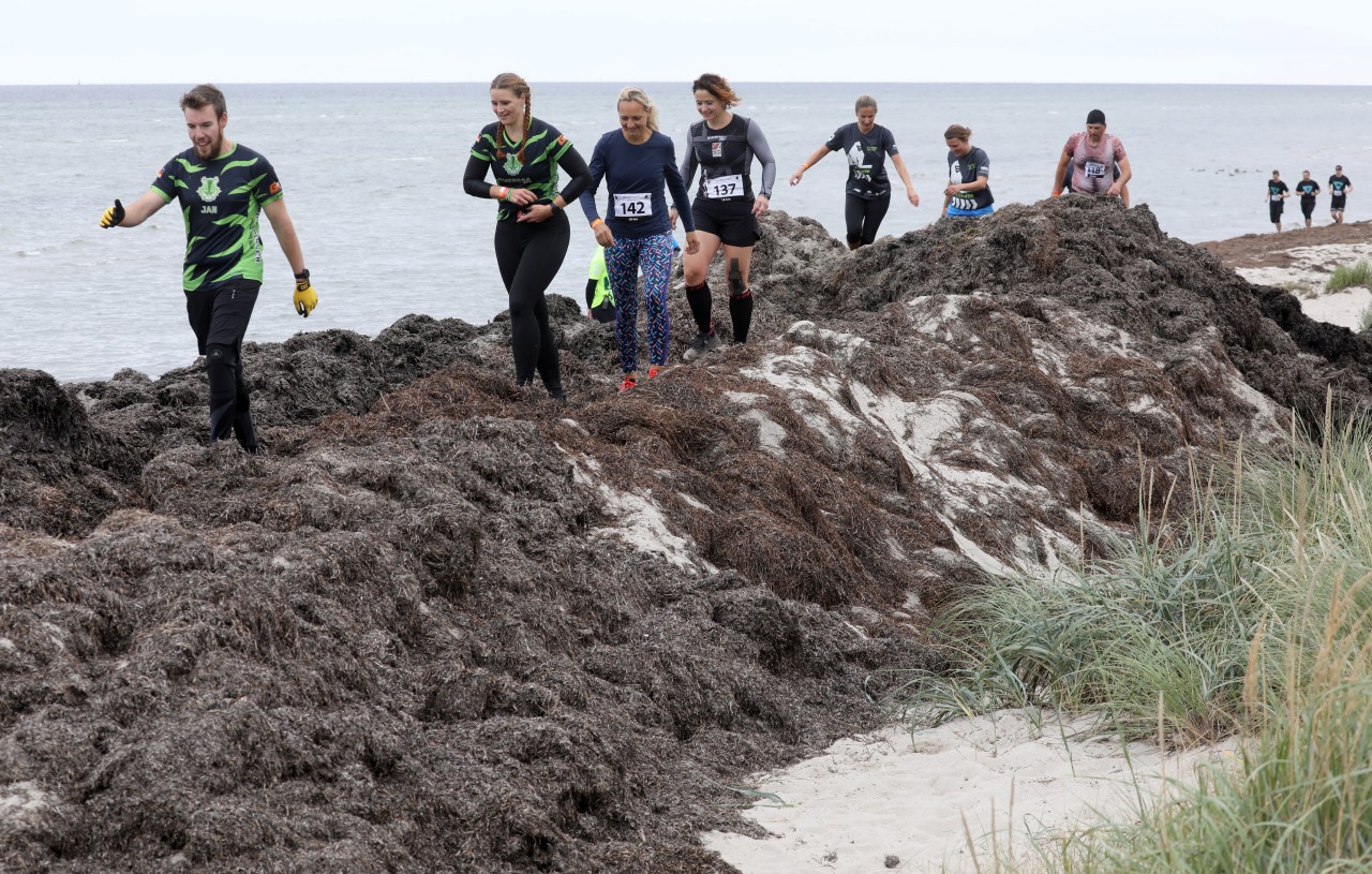 „Mudder Island“-Teilnehmer überqueren einen großen Haufen Tang