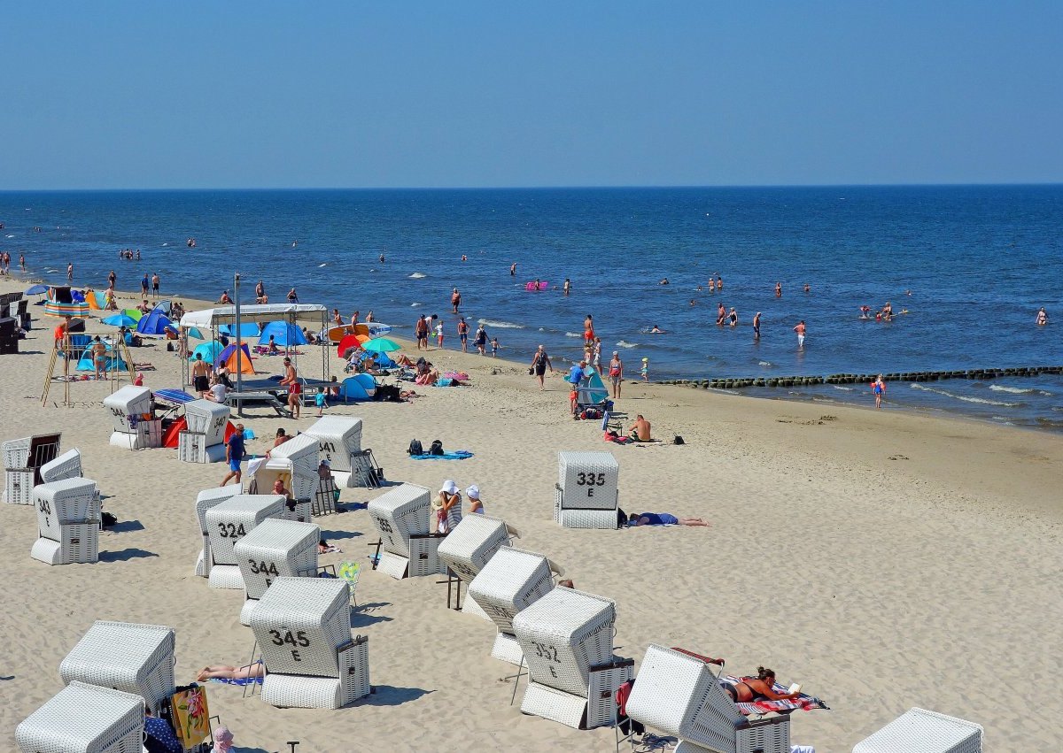 Ostsee Strand Wildschweine.jpg