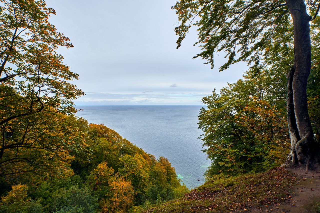 Nationalpark Jasmund auf der Insel Rügen