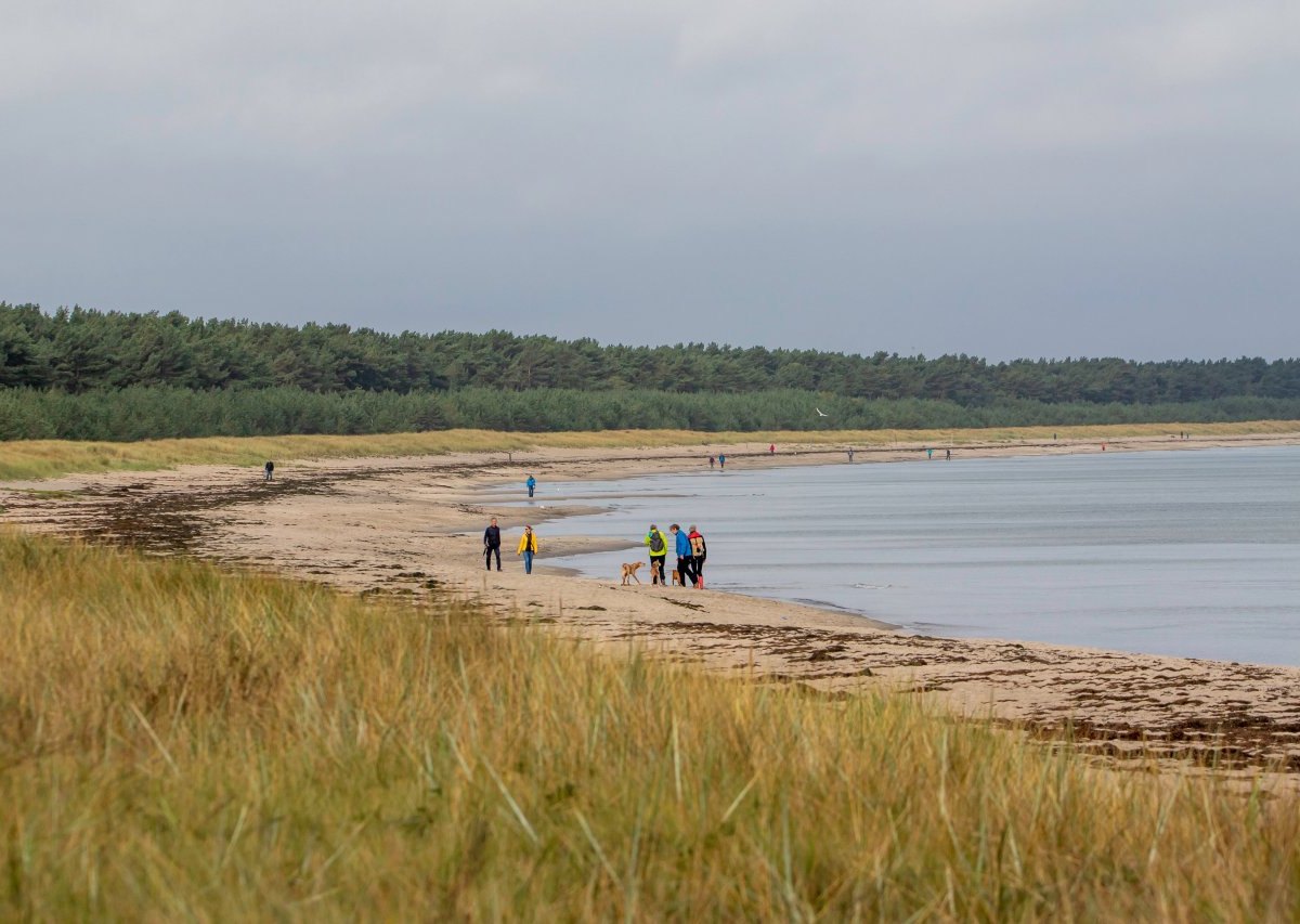 Rügen Ostsee Brackwasser Muschelart Biosphärenreservat Wissenschaftler