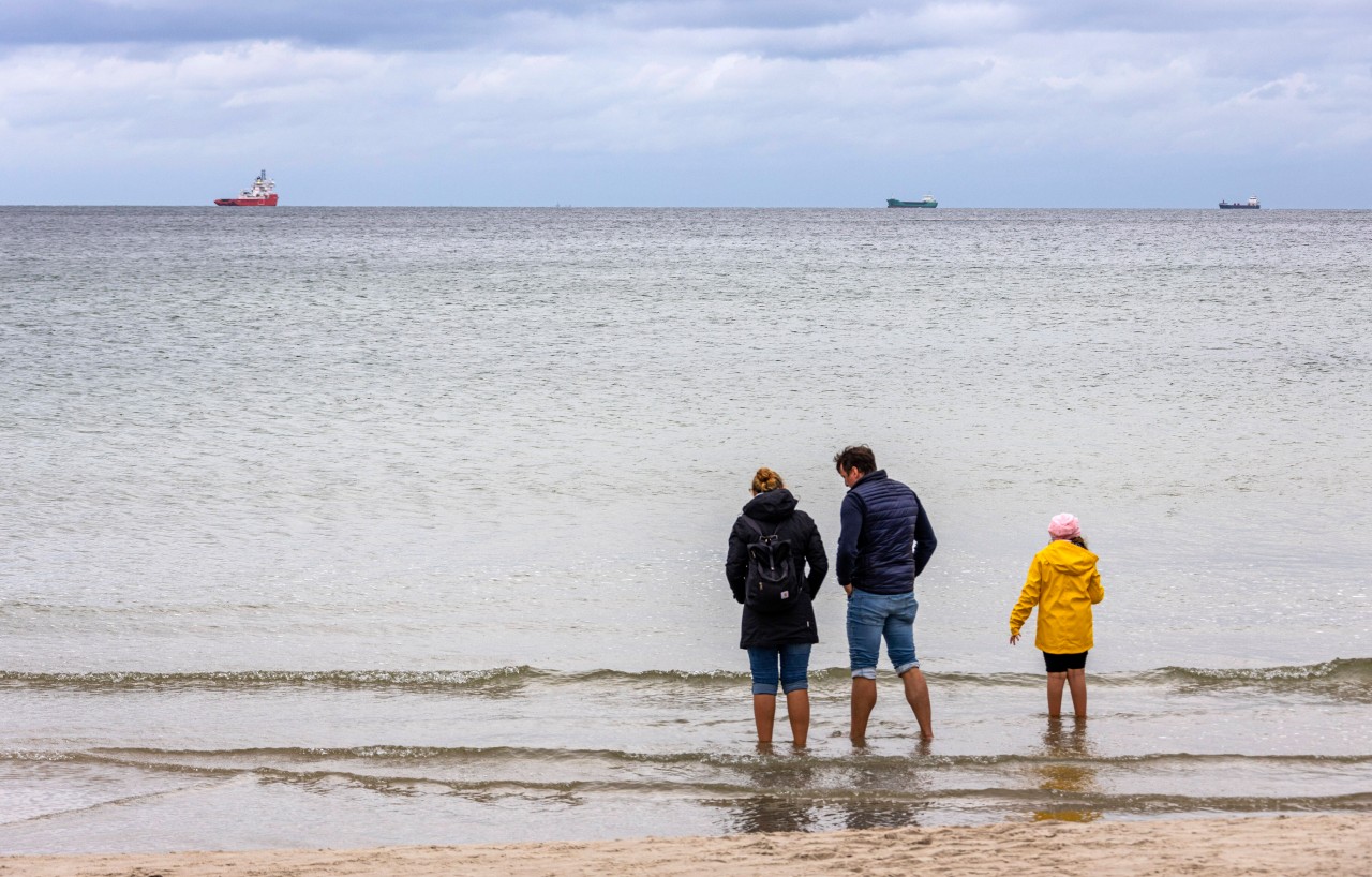 Im Rügen-Urlaub hatte sich eine Familie auf einen besonderen Anblick gefreut (Symbolbild).