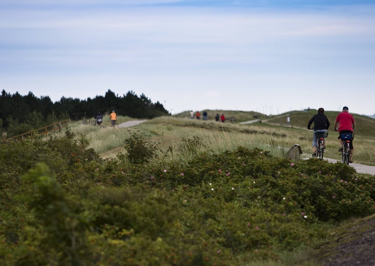 Sankt Peter-Ording Deich Neubau.jpg