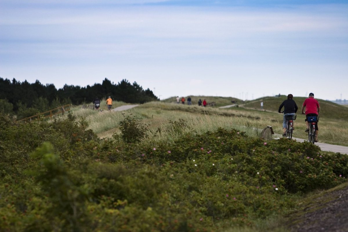 Sankt Peter-Ording Deich Neubau.jpg