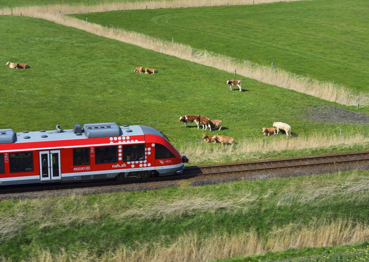 Schleswig-Holstein Regionalzug.jpg