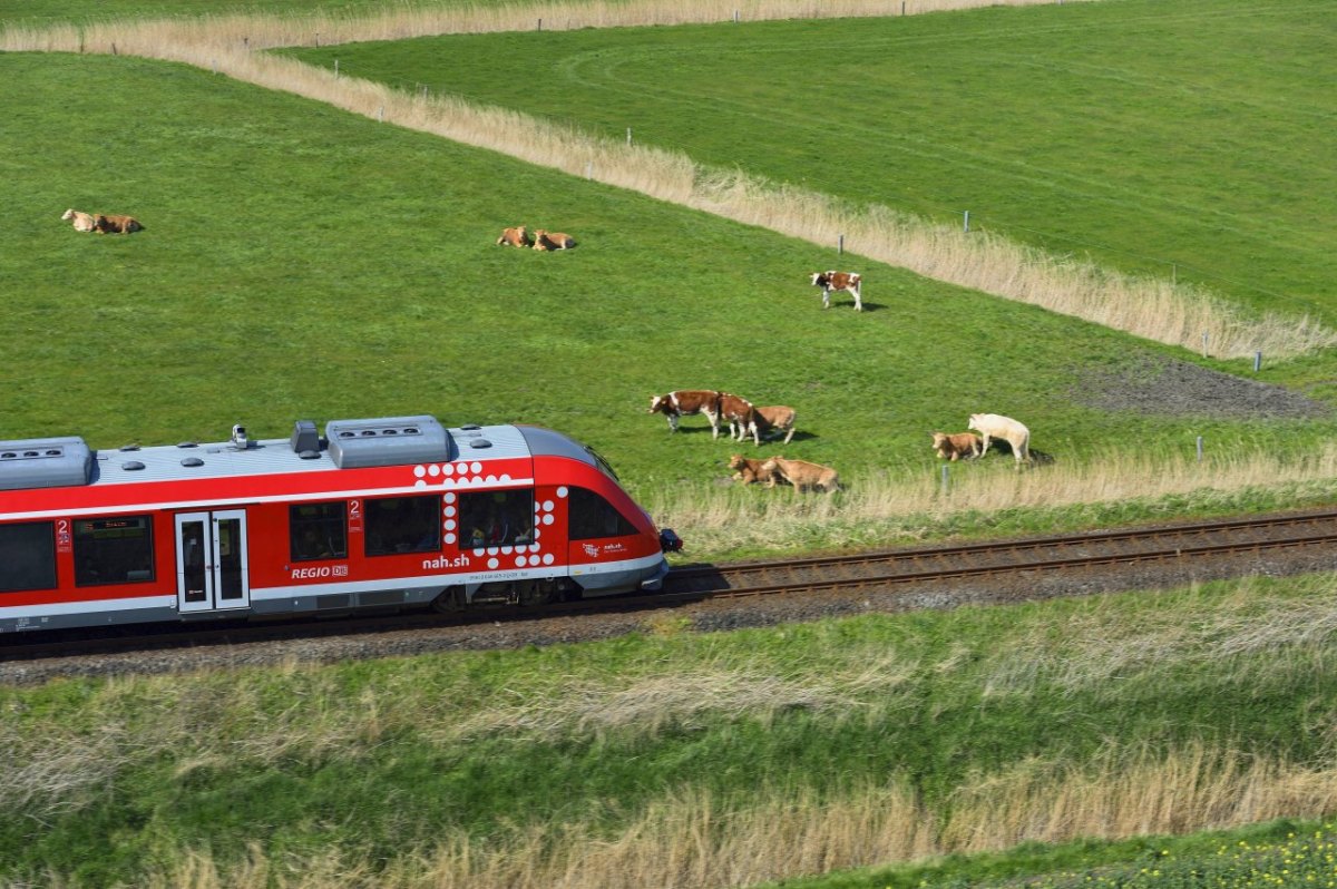 Schleswig-Holstein Regionalzug.jpg