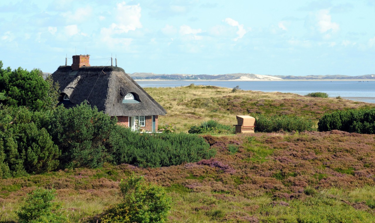 Auf Sylt steht ein historisches Reetdach-Haus zum Verkauf. (Symbolbild)