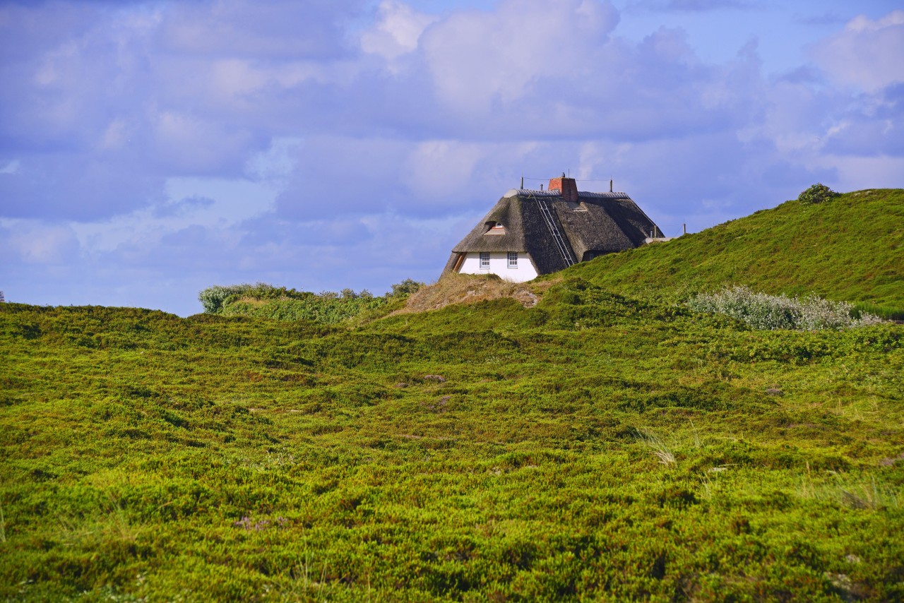 Ein bekanntes Reetdachhaus auf Sylt steht zum Verkauf, doch es gibt einen Haken – und das ist nicht der Preis (Symbolbild). 