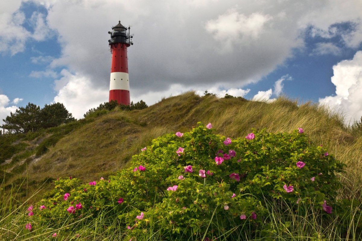 Sylt_Leuchtturm.jpg