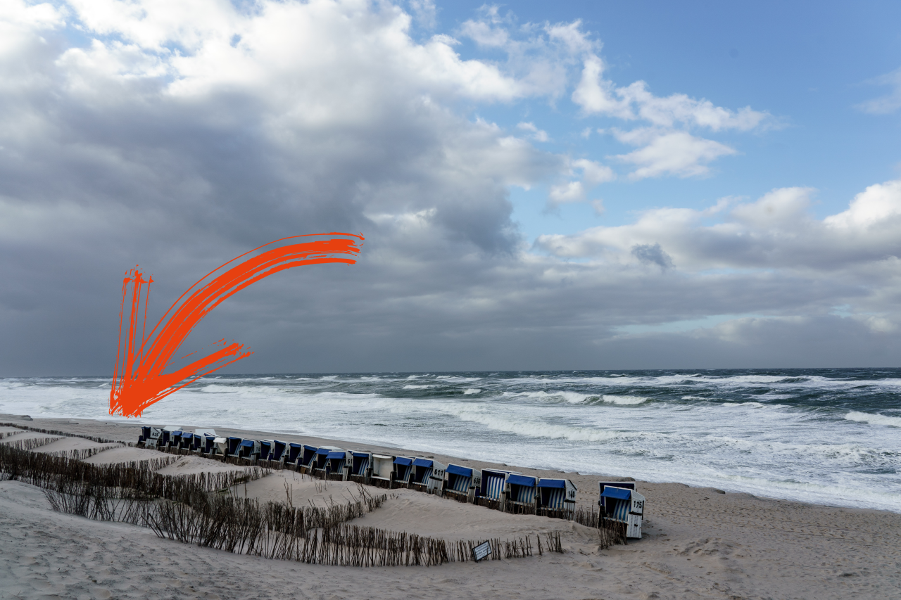 Das Erlebniszentrum Naturgewalten Sylt machte einen traurigen Fund vor der Insel.  (Symbolbild)