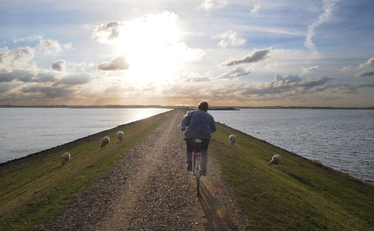 Sylt Nordsee Rantumer Becken.jpg