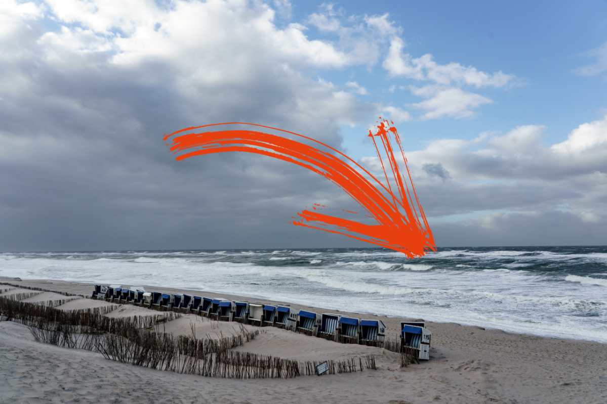 Sylt Nordsee Strand Erlebniszentrum Naturgewalten Wal Facebook Tier Zwergwal Naturschutz Urlaub Notfall