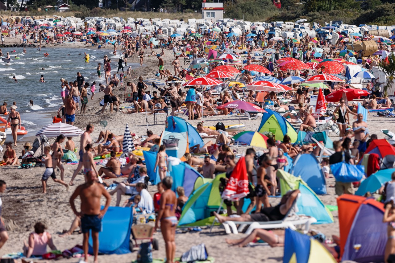 Mit der Beliebtheit von Timmendorfer Strand steigen auch die Immobilienpreise. Doch Einheimische brauchen Wohnraum – und dazu bezahlbaren.  