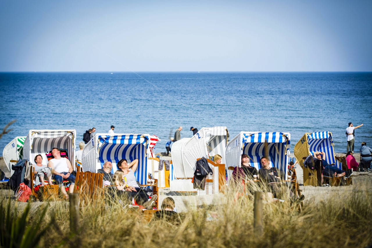 Zwischen normalen Besuchern hat sich am Timmendorfer Strand auch ein seltener Gast gezeigt (Symbolbild). 