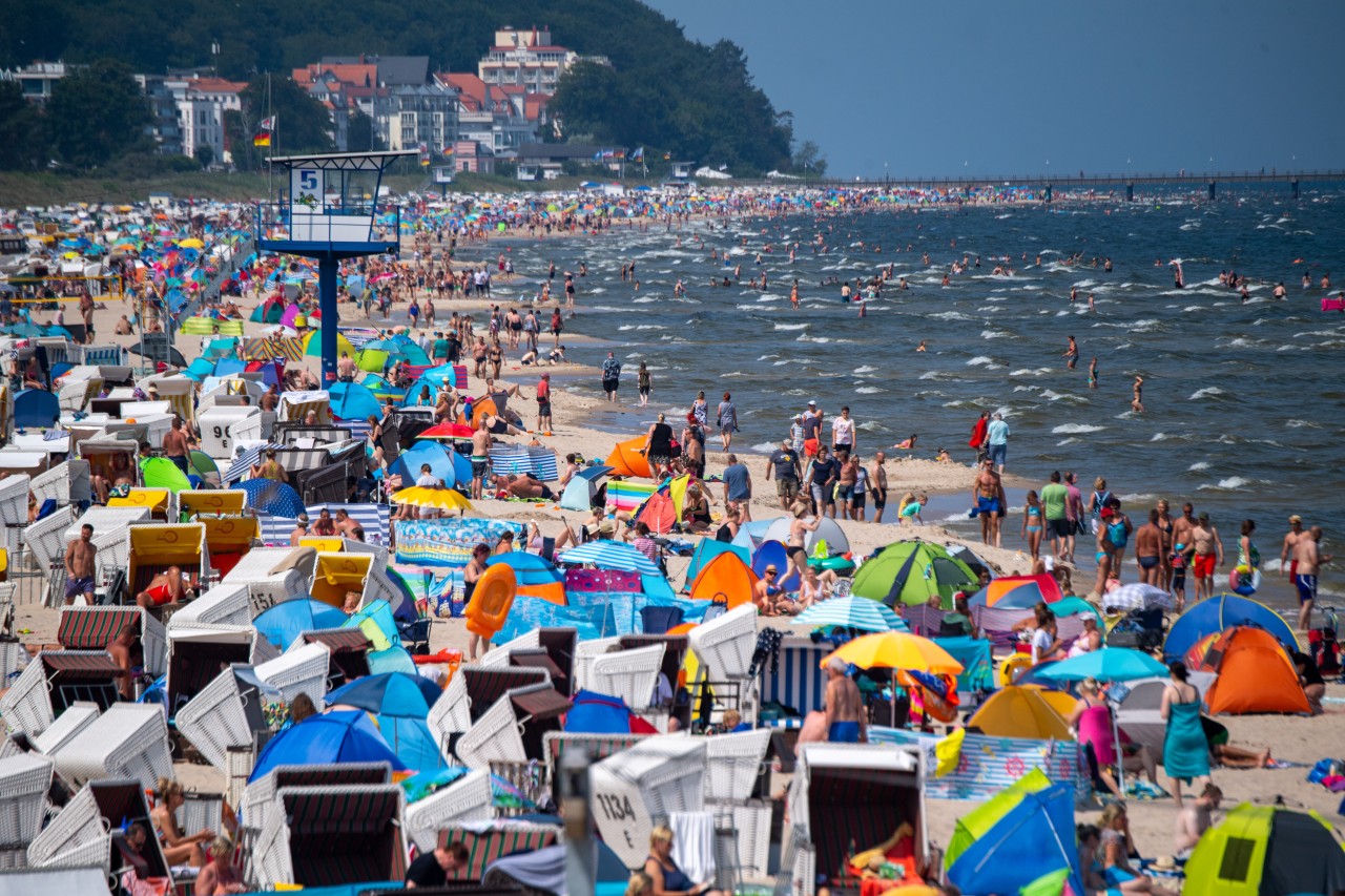 Usedom im Sommer: Vor lauter Strandkörben ist kaum noch Sand zu sehen.