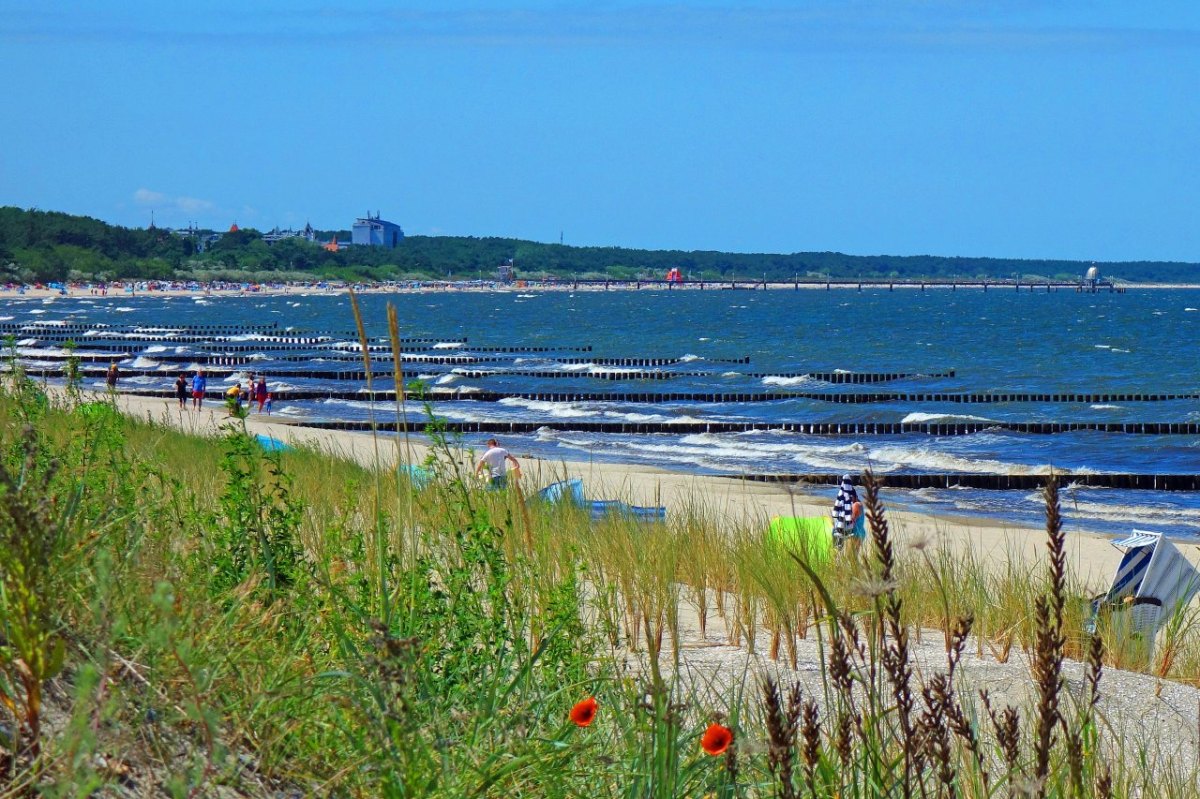 Usedom Rügen Ferienwohnung.jpg