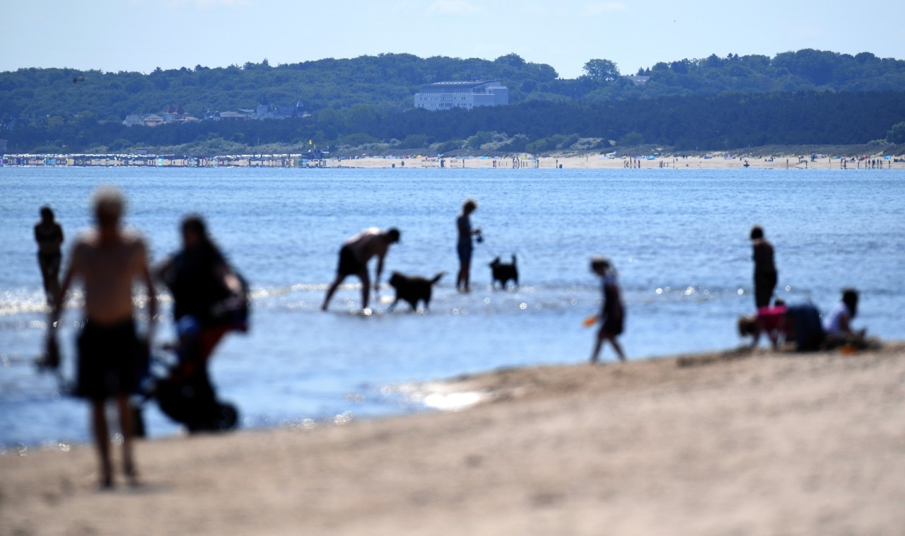 adegäste auf Usedom.