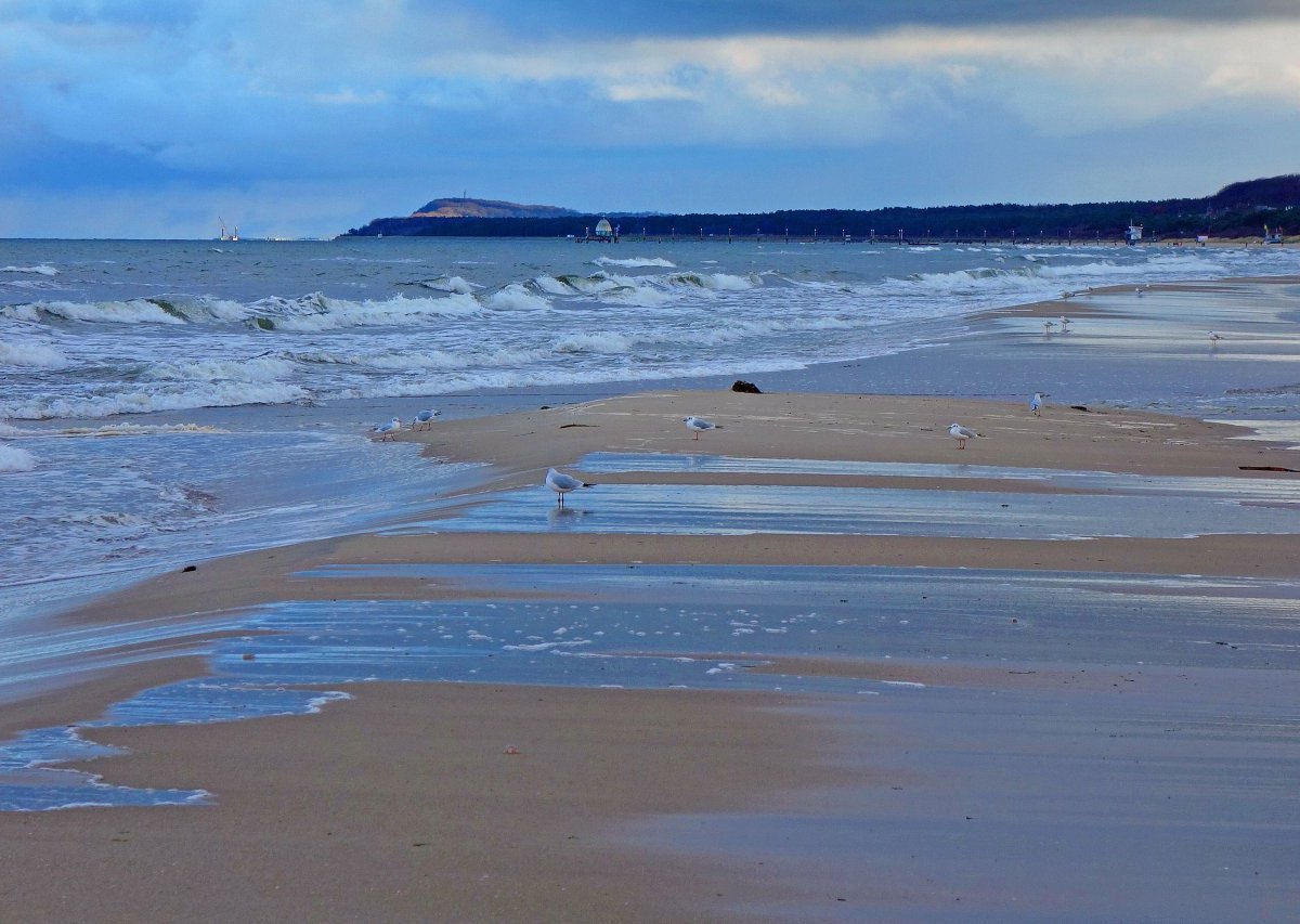 Usedom Verwirrung.jpg