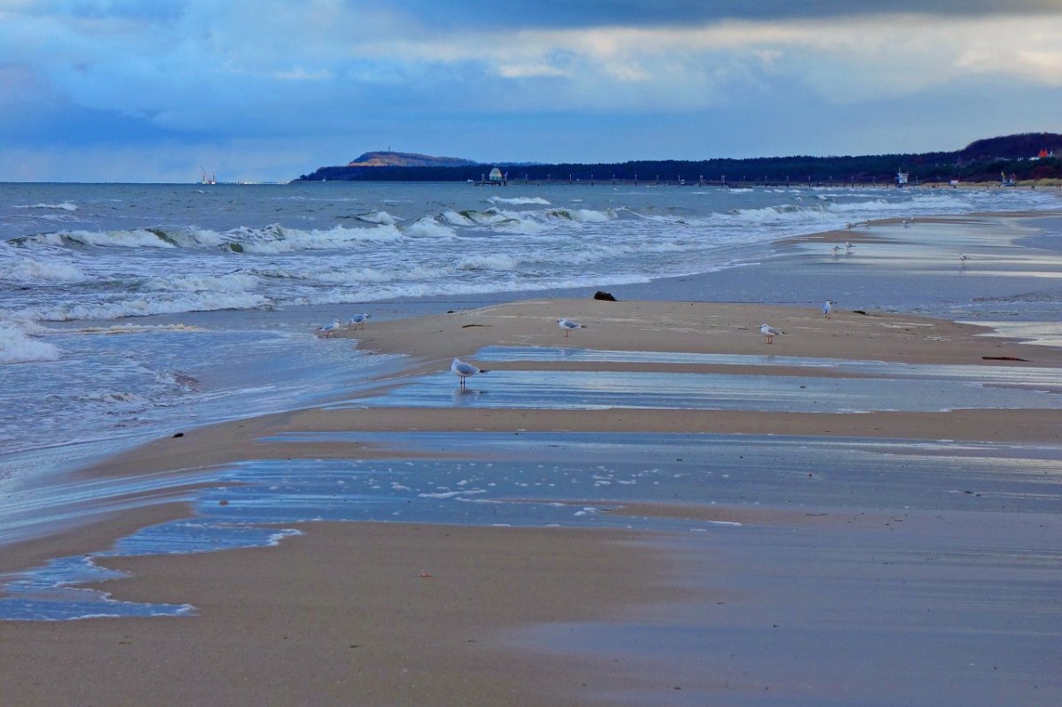 Usedom Verwirrung.jpg