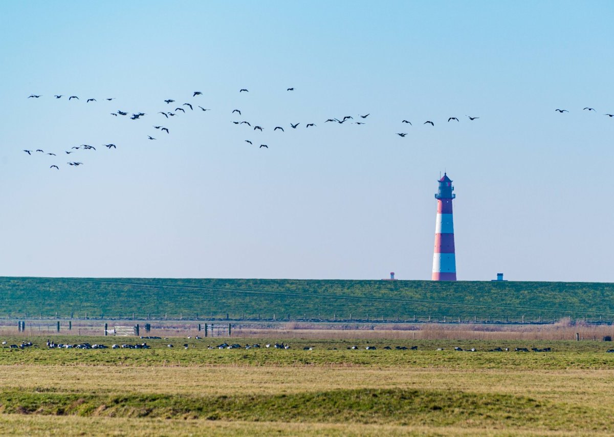 Wetter an der Nordsee.jpg