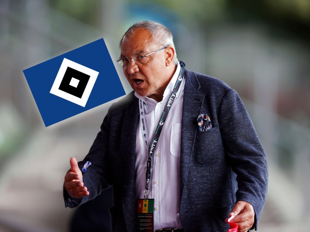 hamburger-SV-felix-magath