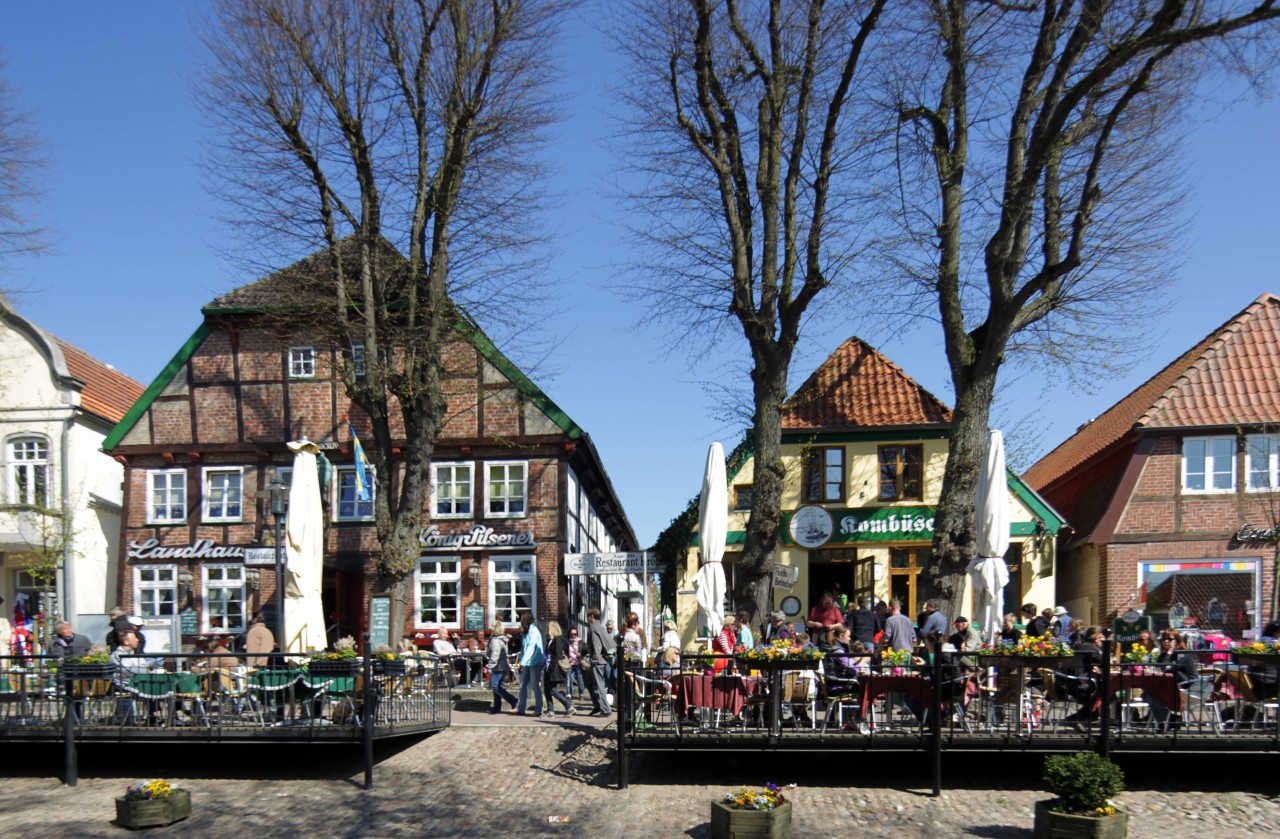 In den Bäumen auf Burg (Fehmarn) nisten immer mehr Krähen (Symbolbild). 