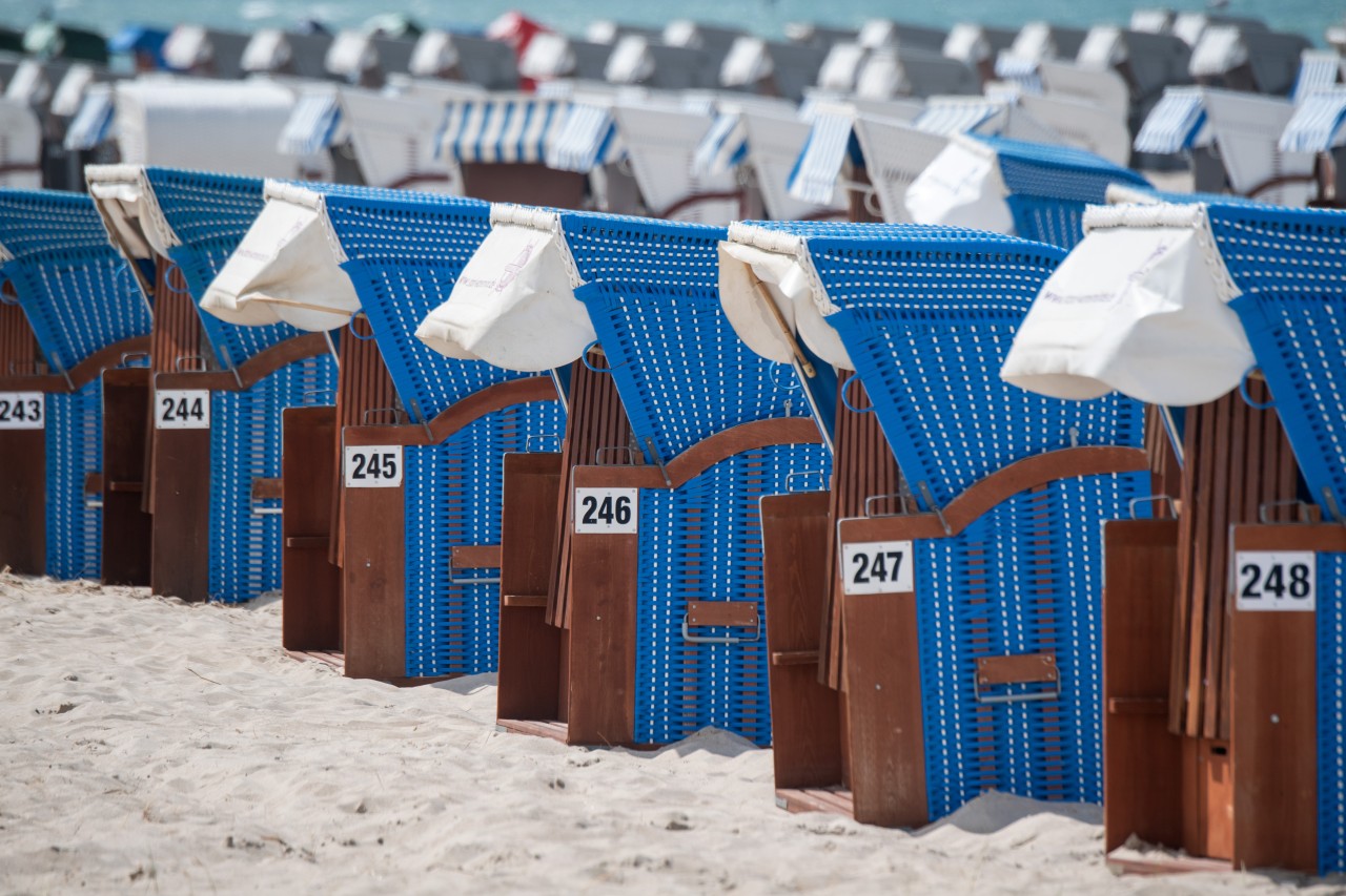 Die Strandkörbe an der Ostsee stehen für die Urlauber bereit. 