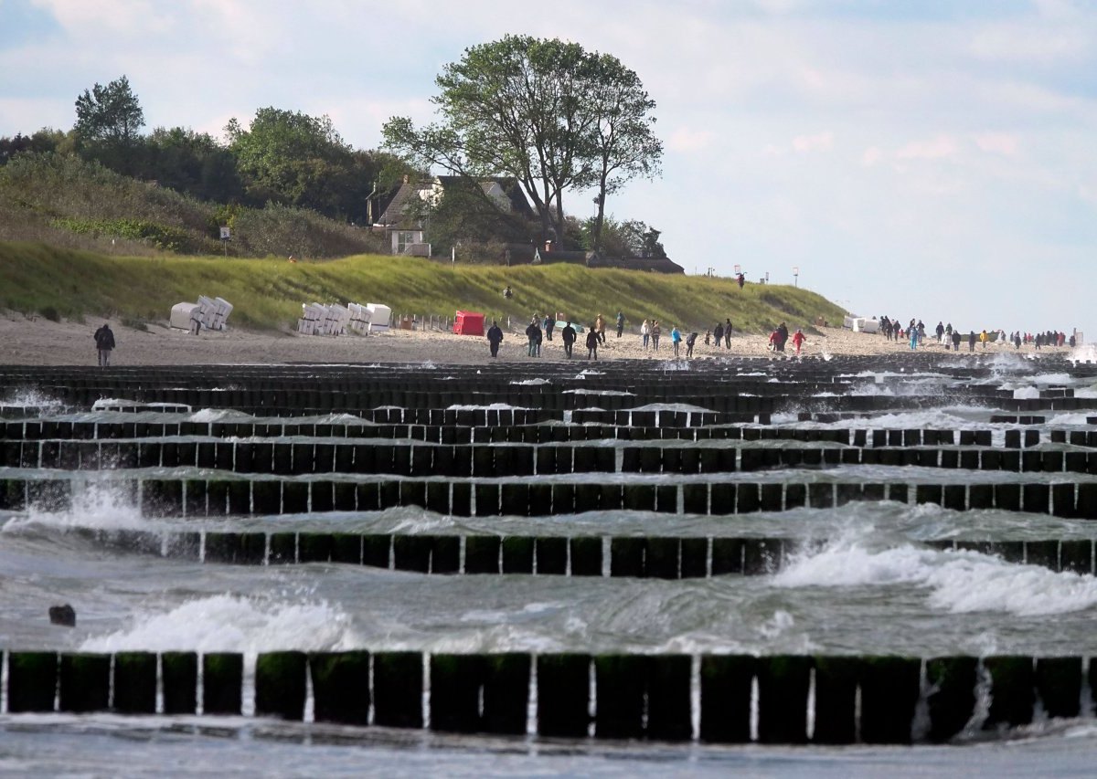 Ostsee Darss.jpg