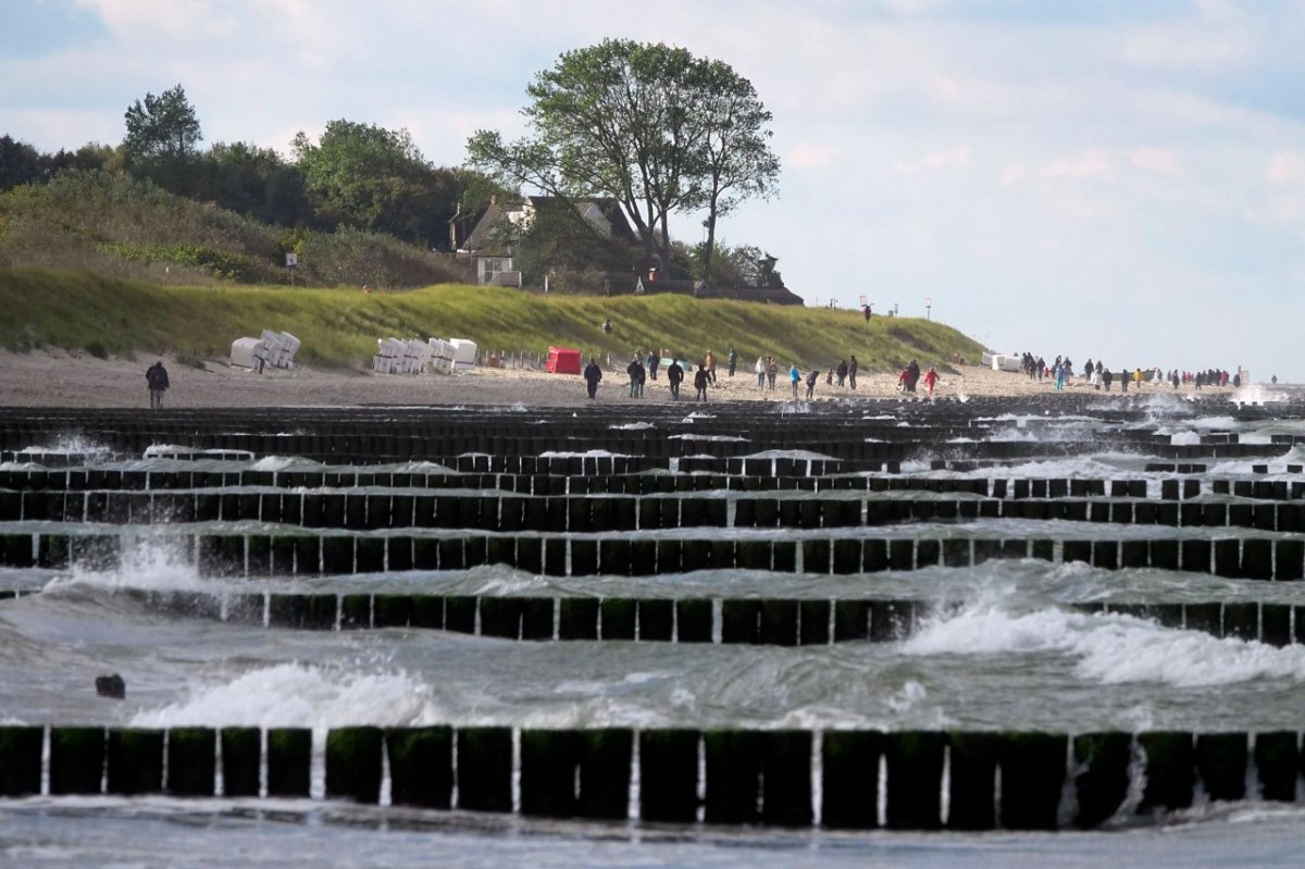 Ostsee Darss.jpg