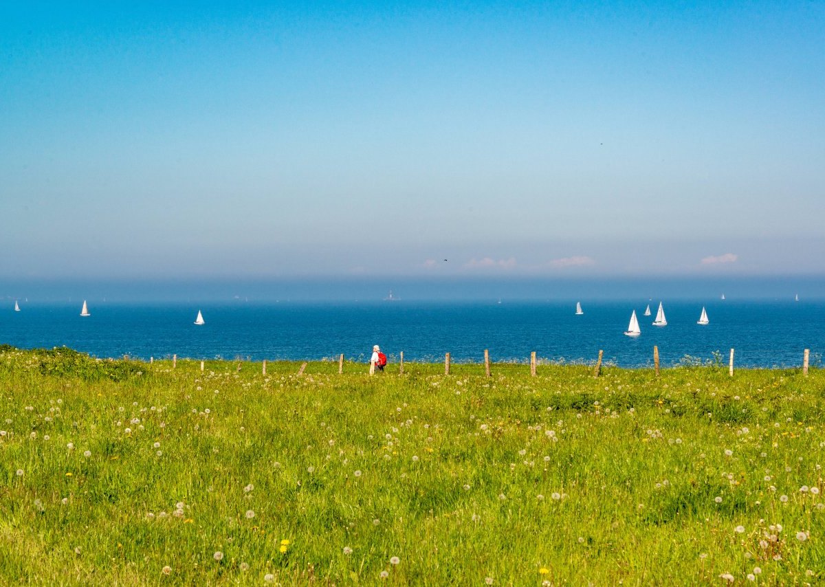 Steilküste an der Ostsee.jpg