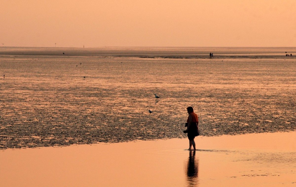 Watt Nordsee Büsum.jpg