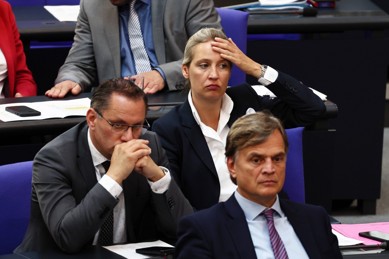 AfD-Politiker Chrupalla, Weidel und Baumann (v.l.)