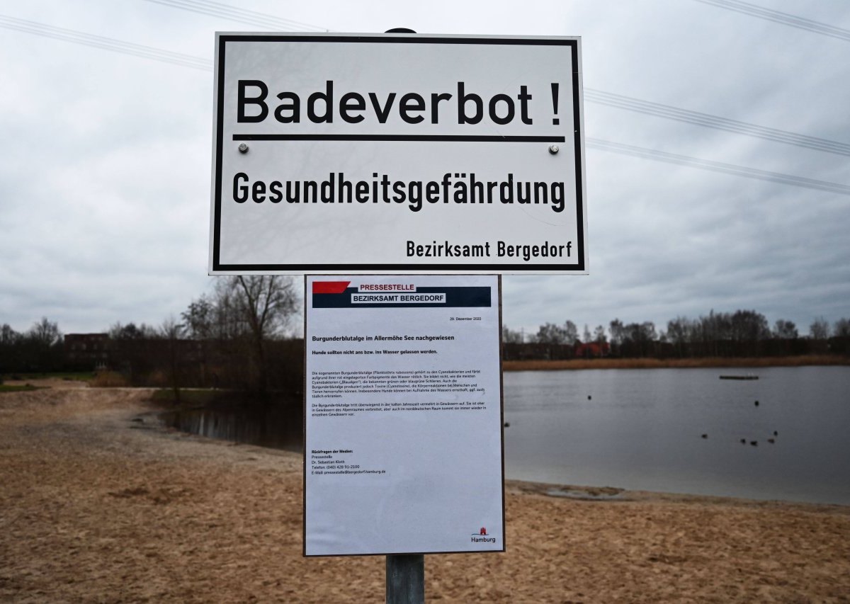 Hamburg Badeverbot.jpg