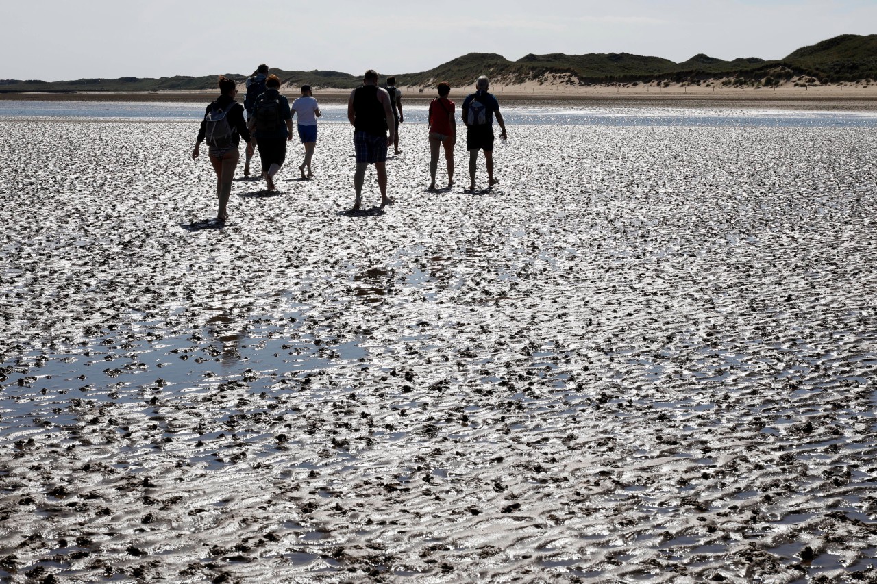 Wattwanderung auf der Nordsee-Insel Amrum