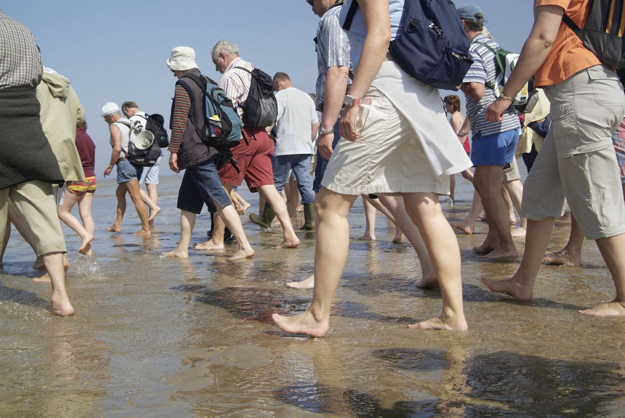 Wattwanderer an der Nordsee auf Föhr.