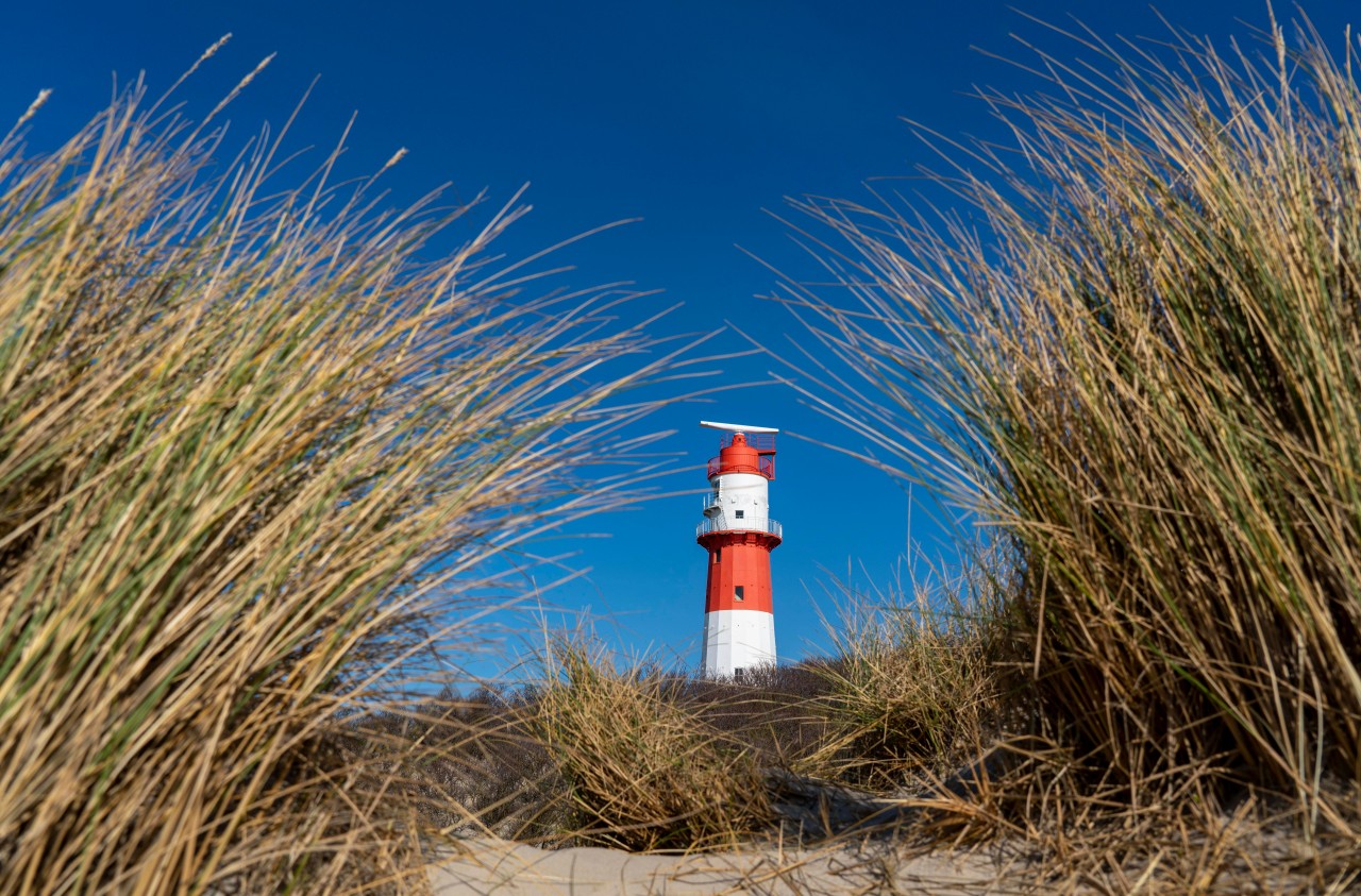 Nordsee-Dünen auf Borkum