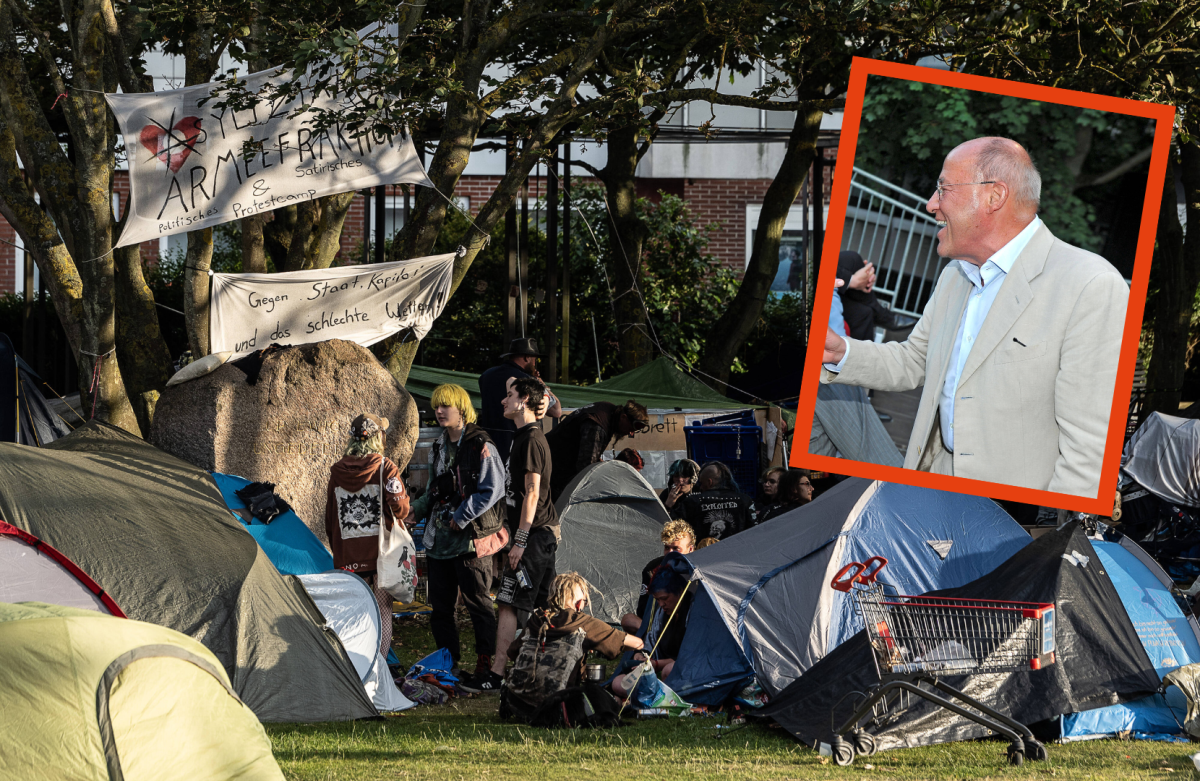 Punks auf Sylt, Gregor Gysi