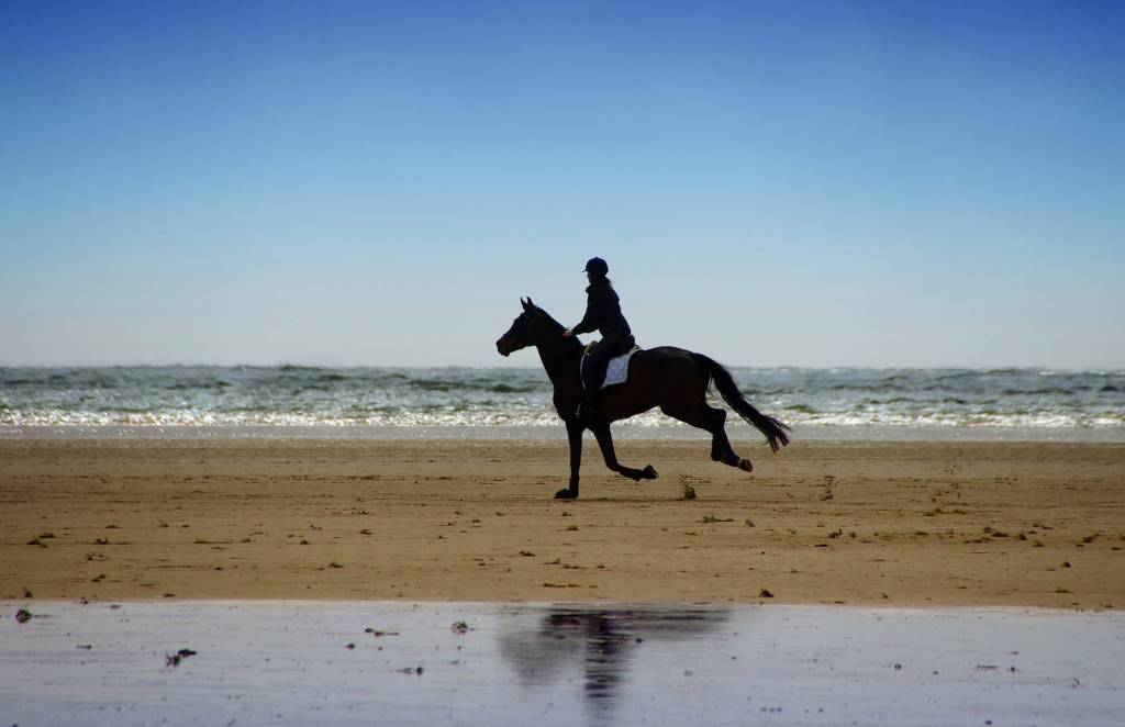 St. Peter-Ording Reiter