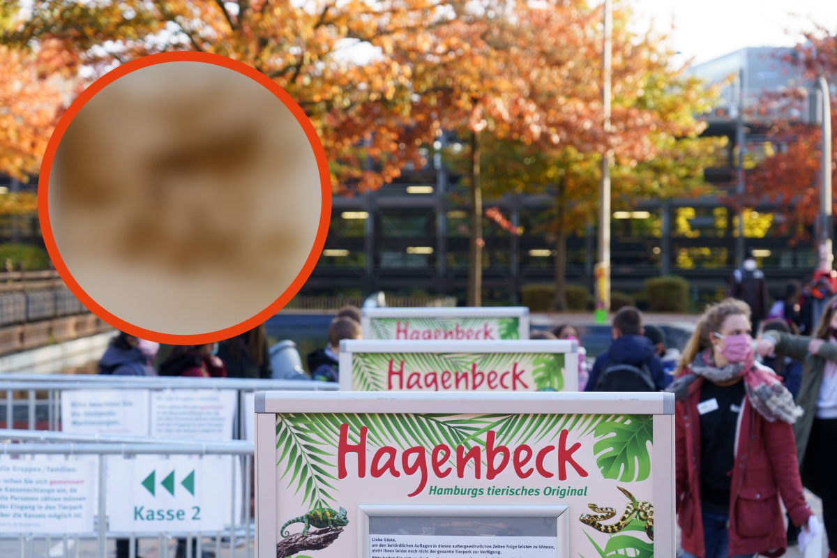 Tierpark Hagenbeck