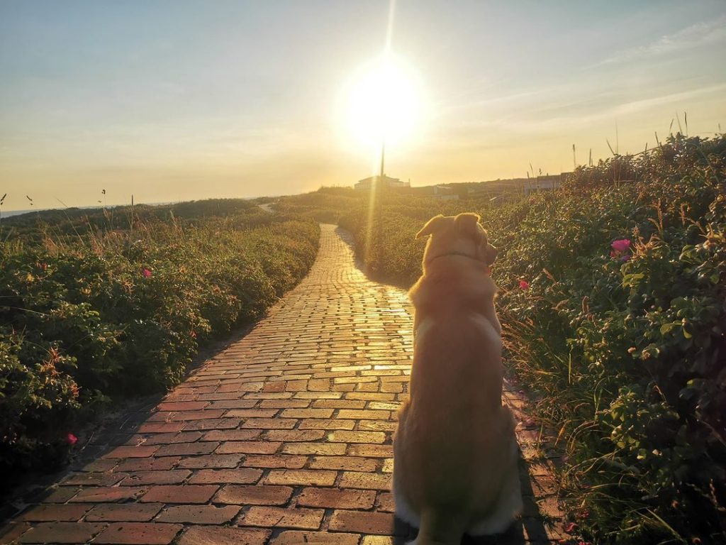 Langeoog