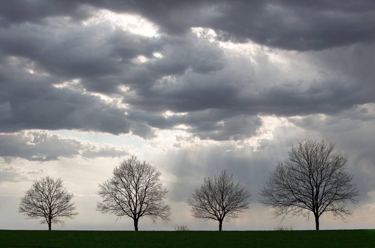 Wetter Schleswig-Holstein