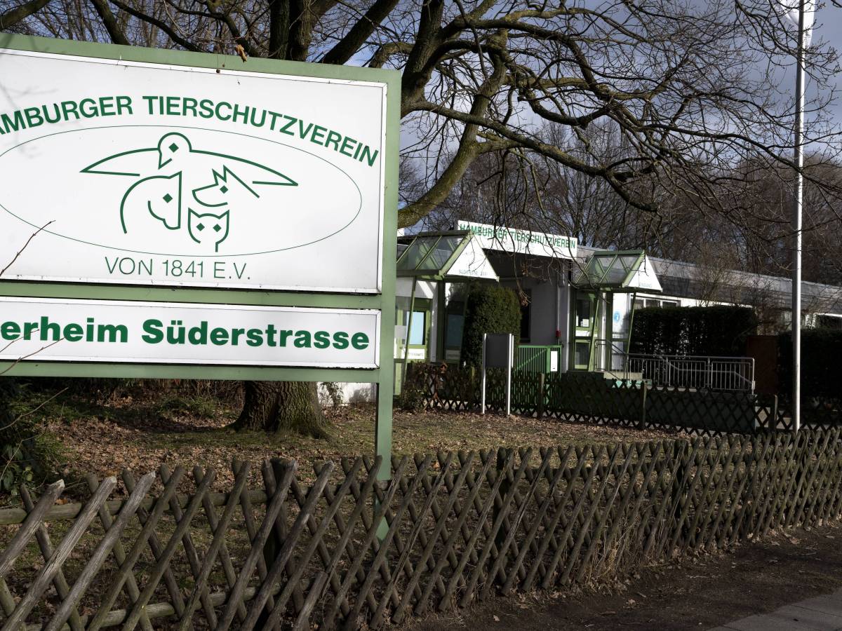 Hamburger Tierschutzverein