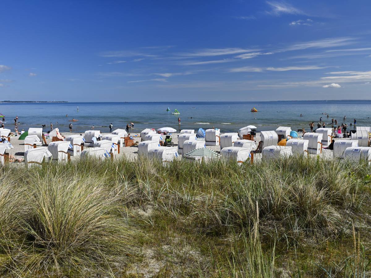 Sie dürfen bald auch den Ostsee-Strand besuchen.