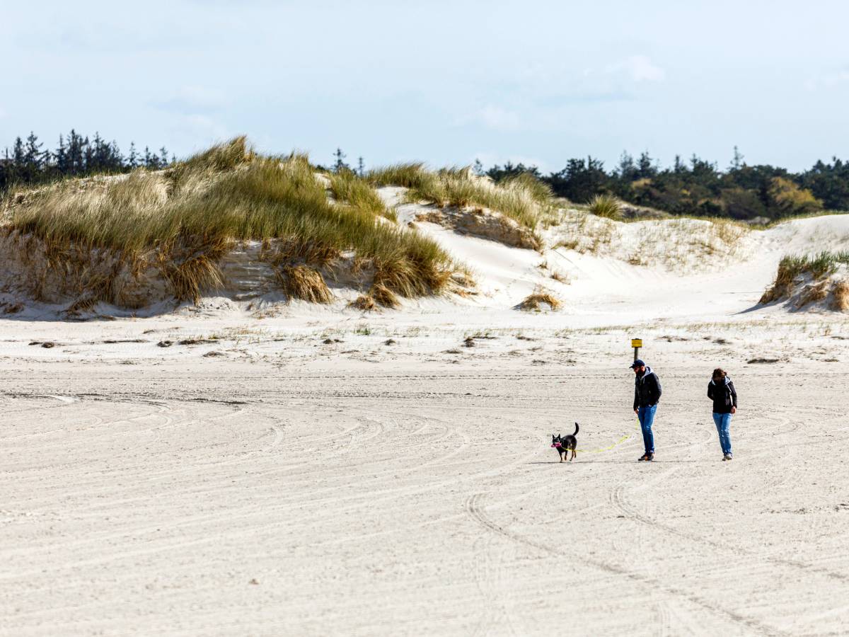 Frau macht erschreckende Beobachtung am Nordsee-Strand.