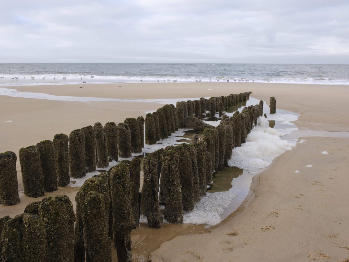 Das Thema der Stunde: Küstenschutz auf Sylt.