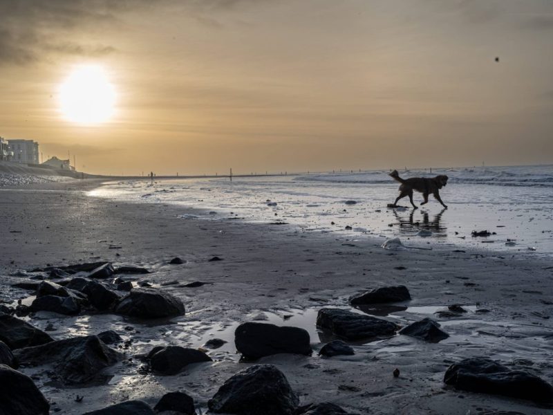 Norderney endgültig das zweite Sylt – „Die Insel hat sich sehr verändert“